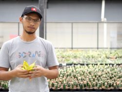 Kisah Sukses Aldy Ridwan Budidayakan Kaktus, Tinggalkan Dunia Migas, Penghasilan Ratusan Juta